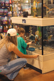 Free & Easy Toddler Outings